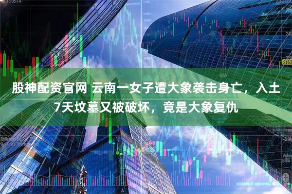 股神配资官网 云南一女子遭大象袭击身亡，入土7天坟墓又被破坏，竟是大象复仇