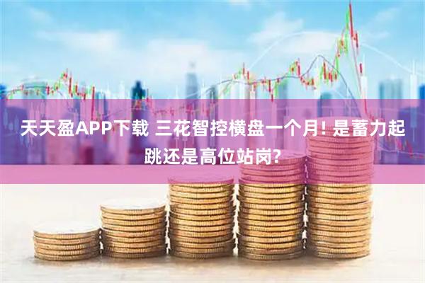 天天盈APP下载 三花智控横盘一个月! 是蓄力起跳还是高位站岗?